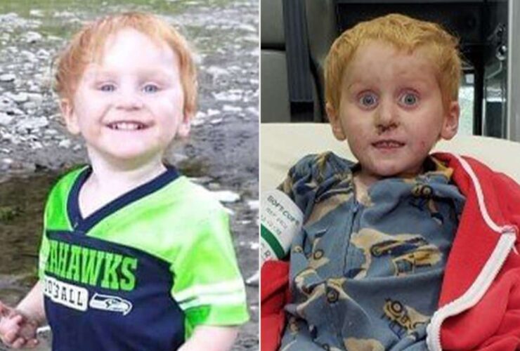 3-Year-Old Ryker Webb Survived Alone in the Wild. Inside the Toddler's Life