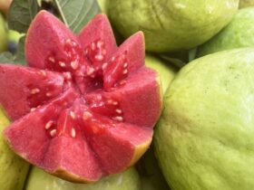 7 Fruits High in Vitamin C to Support a Stronger Immune System