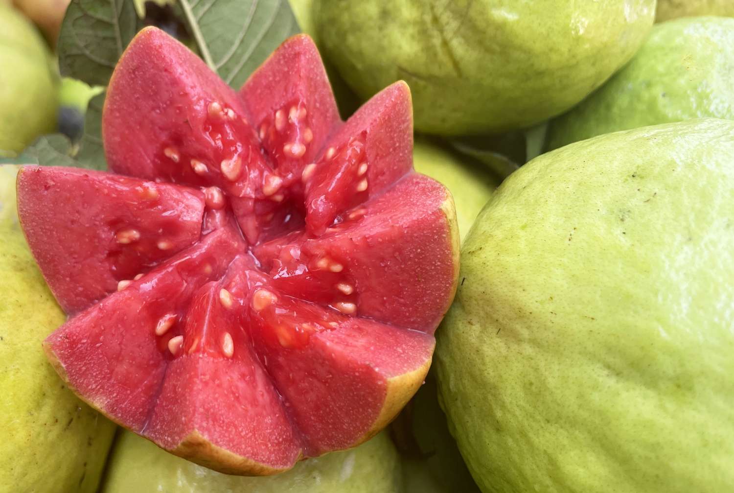 7 Fruits High in Vitamin C to Support a Stronger Immune System