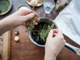 7 Herbs and Spices That Can Lower Your Blood Pressure Naturally