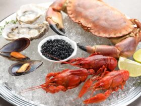 8 Foods Packed With Zinc for Immunity and Everyday Wellness