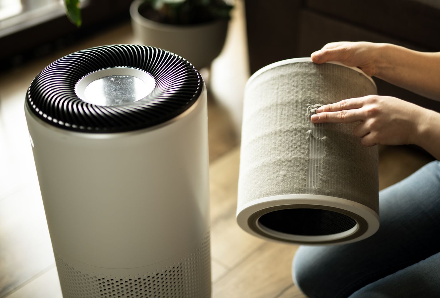 8 Health Benefits of Using an Air Purifier Every Day