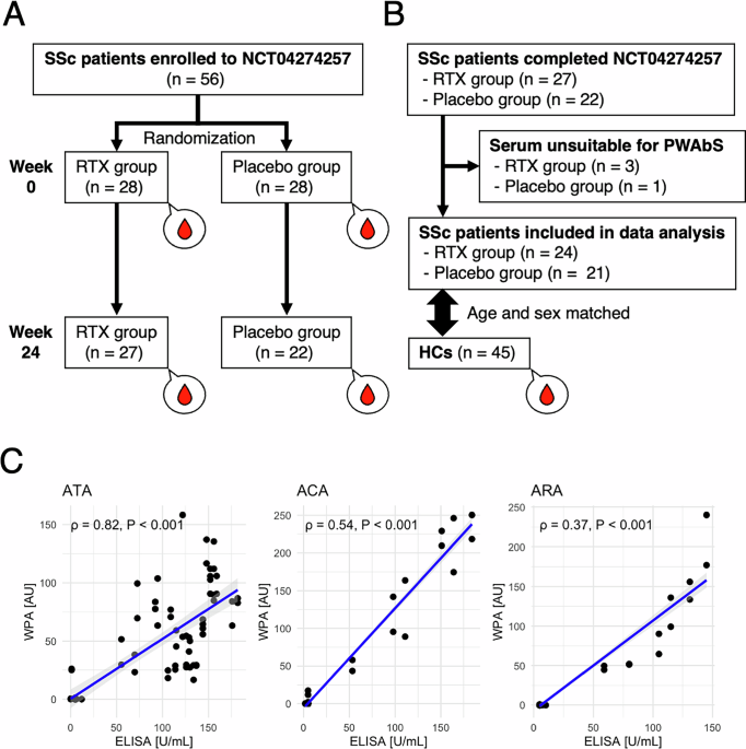 Autoantibody landscape and functional role of anti-C-C motif chemokine receptor 8 autoantibodies in systemic sclerosis: post-hoc analysis of a B-cell depletion trial