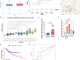 BNIP3 is a key driver of breast cancer progression and a novel glycolysis-regulating biomarker