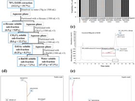 Bioactive compounds from Sargassum horneri attenuates inflammation and obesity regulating by Nrf2/HO-1 and AMPK signaling pathways