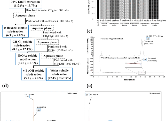 Bioactive compounds from Sargassum horneri attenuates inflammation and obesity regulating by Nrf2/HO-1 and AMPK signaling pathways