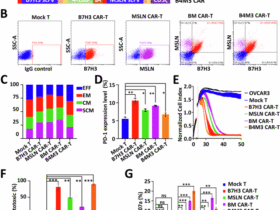 Dual-target CAR-T therapy for ovarian cancer: synergistic targeting of MSLN and B7H3 enhances anti-tumor efficacy and overcomes antigen heterogeneity