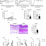 Fatty acid-binding protein 5 aggravates psoriasis and psoriasis-like disease through ferroptosis