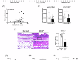 Fatty acid-binding protein 5 aggravates psoriasis and psoriasis-like disease through ferroptosis