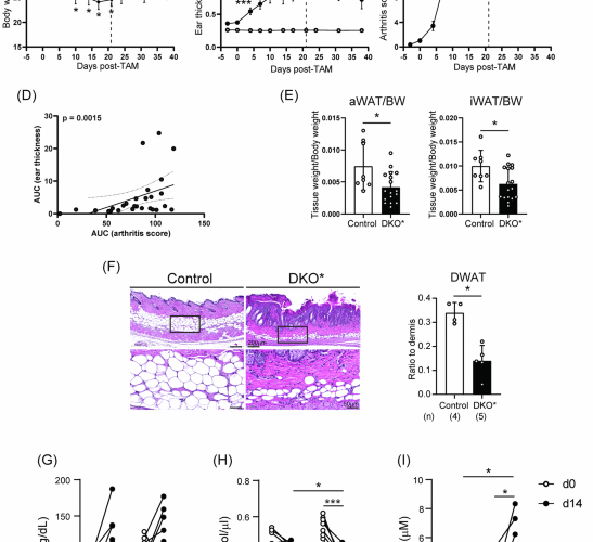 Fatty acid-binding protein 5 aggravates psoriasis and psoriasis-like disease through ferroptosis