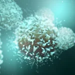 Gene-edited CAR-T cells erase aggressive T-cell leukemia