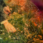 Here's What 2026 Has In Store, According To Your Zodiac Sign