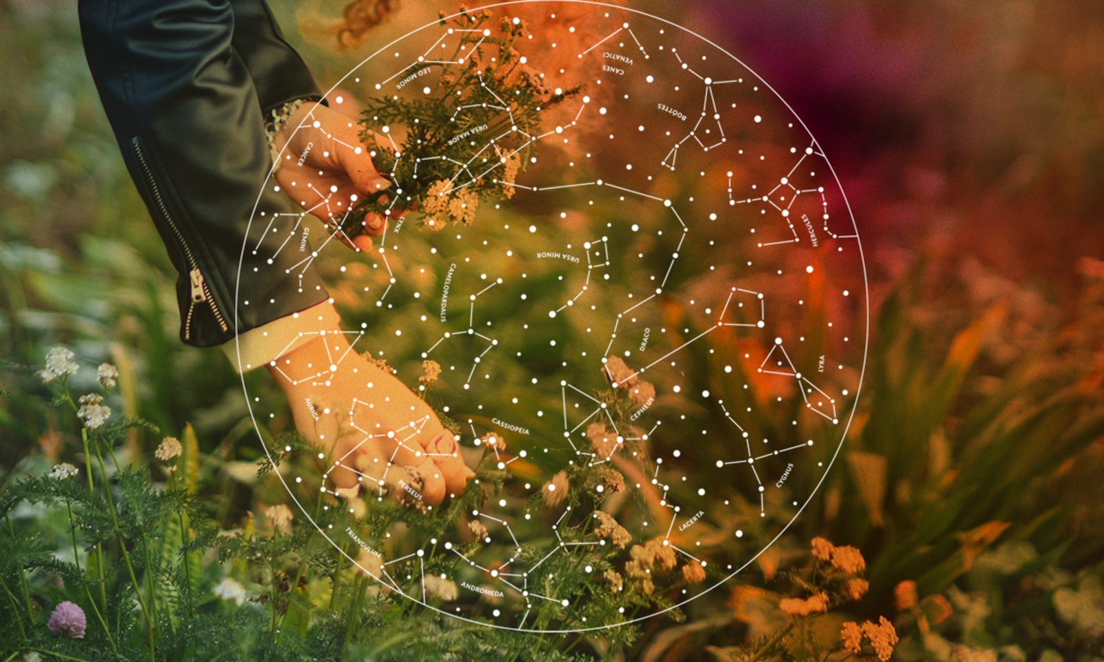 Here's What 2026 Has In Store, According To Your Zodiac Sign