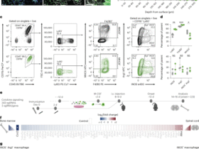 In vivo CRISPR screen reveals regulation of macrophage states in neuroinflammation