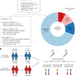 Influenza A(H5N8) vaccine induces humoral and cell-mediated immunity against highly pathogenic avian influenza clade 2.3.4.4b A(H5N1) viruses in at-risk individuals