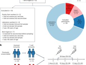 Influenza A(H5N8) vaccine induces humoral and cell-mediated immunity against highly pathogenic avian influenza clade 2.3.4.4b A(H5N1) viruses in at-risk individuals