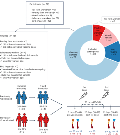 Influenza A(H5N8) vaccine induces humoral and cell-mediated immunity against highly pathogenic avian influenza clade 2.3.4.4b A(H5N1) viruses in at-risk individuals