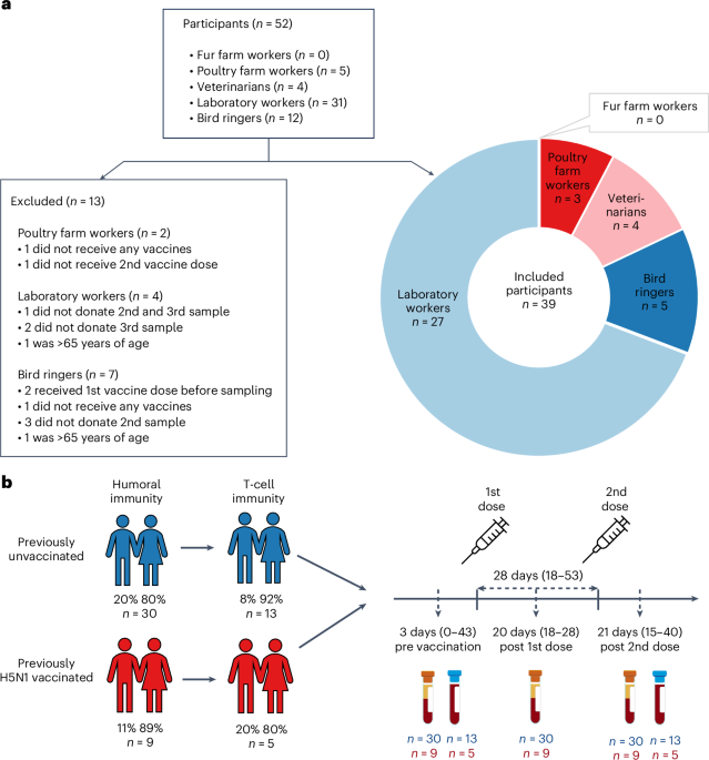 Influenza A(H5N8) vaccine induces humoral and cell-mediated immunity against highly pathogenic avian influenza clade 2.3.4.4b A(H5N1) viruses in at-risk individuals