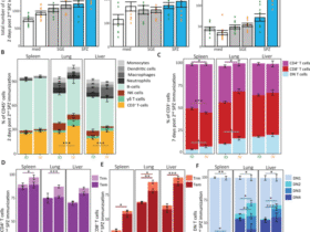 Intradermal immunization with Plasmodium berghei late-arresting genetically attenuated sporozoites induces PD-L1 expression on regulatory macrophages and dendritic cells