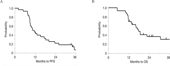 Intraperitoneal immune microenvironment and efficacy of intraperitoneal chemotherapy in patients with gastric cancer and peritoneal metastasis