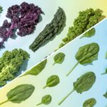 Kale vs. Spinach: Which Is Healthier?