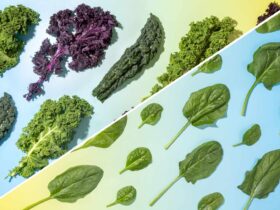 Kale vs. Spinach: Which Is Healthier?