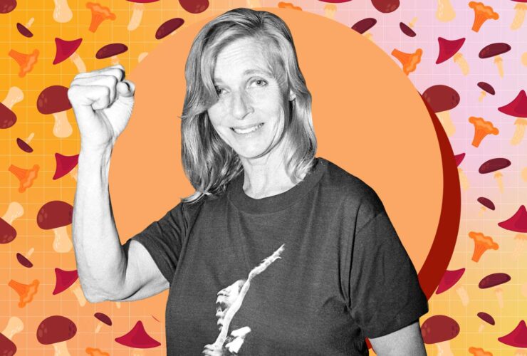 Linda McCartney’s Vegetarian Stroganoff Recipe