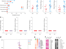 Long COVID involves activation of proinflammatory and immune exhaustion pathways