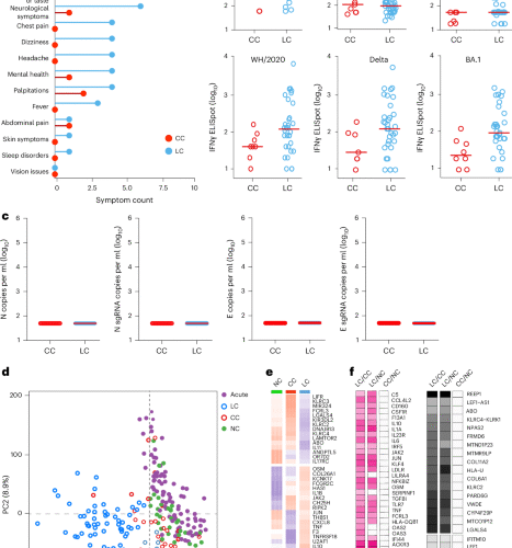 Long COVID involves activation of proinflammatory and immune exhaustion pathways