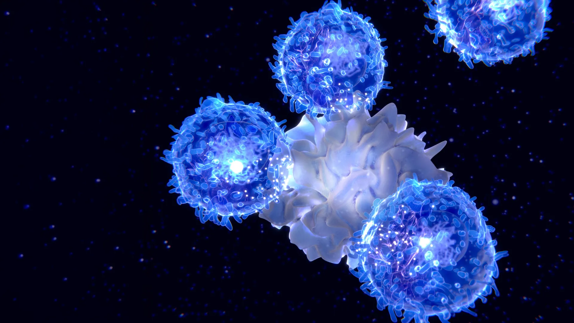 MIT scientists find a way to rejuvenate the immune system as we age