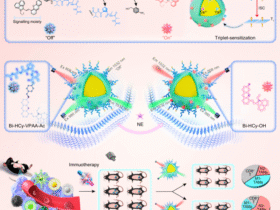NIR-IIb fluorescence ratiometric imaging of tumor-associated neutrophils for immunotherapy efficacy monitoring and strategy optimization