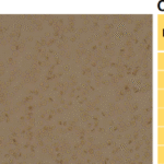 No naturally occurring blood group antibodies were detected in the crossmatching of 25 giant pandas