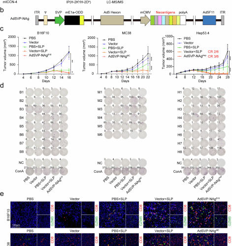 Oncolytic adenovirus delivery of neoantigens sensitizes low-mutation tumors to anti-PD-1 therapy and prevents metastasis