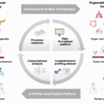 Organoid: a promising solution to current challenges in cancer immunotherapy