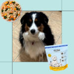 Pets Table Review 2025: Is It Healthy?