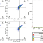 Pilot study on exercise-induced placental transcriptomic changes and oxidative stress reduction in gestational diabetes mellitus