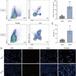 Recruitment of CCR5+ inflammatory monocytes in pulmonary tissue contributes to acute lung injury