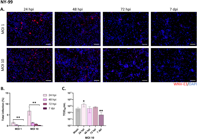 Role of innate immune and inflammatory signaling in West Nile virus tropism and neuronal and glial cell death