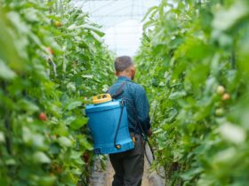 New EPA-Approved Pesticides Stir Controversy