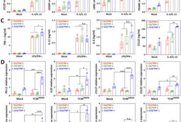 Siglec-14-LGALS3BP glycoimmune axis shapes tumor-associated macrophage polarization and confers poor outcome in colorectal cancer