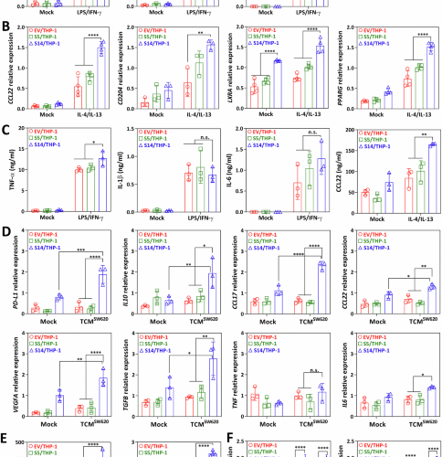 Siglec-14-LGALS3BP glycoimmune axis shapes tumor-associated macrophage polarization and confers poor outcome in colorectal cancer