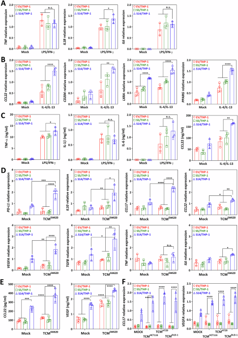 Siglec-14-LGALS3BP glycoimmune axis shapes tumor-associated macrophage polarization and confers poor outcome in colorectal cancer