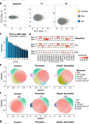 Single cell mapping identifies a distinct platelet-phenotype in psoriatic type III inflammation