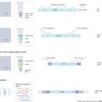 TIRTL-seq: heroes with T-SHELL
