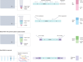 TIRTL-seq: heroes with T-SHELL
