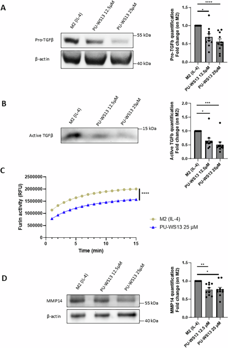 The chaperone GRP94 interacts with the proprotein convertase furin and regulates TGF-beta maturation in human primary M2 macrophages