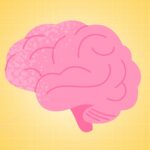 Weight Loss May Help Brain Stay Younger