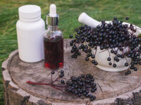 What Happens to Your Blood Sugar and Immune System When You Take Elderberry?