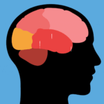 What Happens to Your Brain When You Eat Too Much Sugar