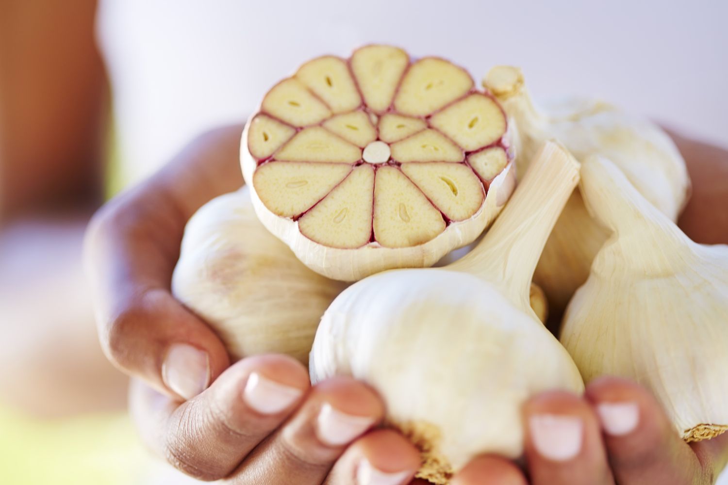 What Happens to Your Cold Symptoms When You Eat Garlic?